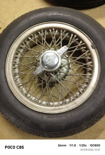 Cerchi alfa romeo borrani - cerchi,